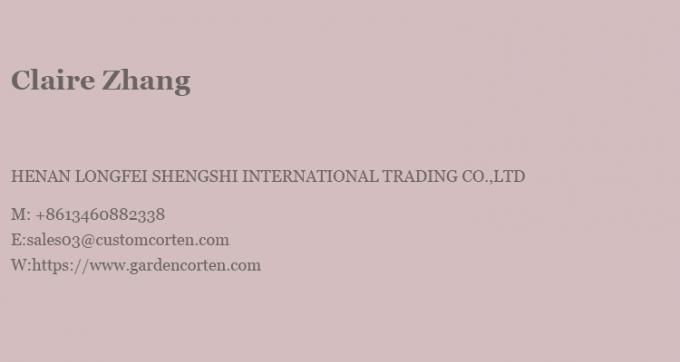 Bois suspendu noir, foyer brûlant, cheminée de toit, intérieur, acier, sur mesure 26